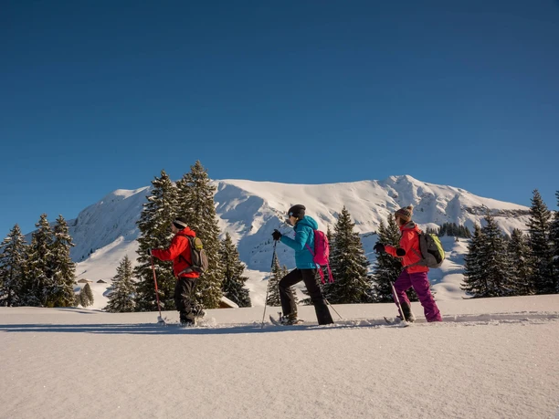 habkern-lombachalp-winter-schneeschuhlaufen-gruppe-tannen-landschaft-gefuehrte-touren-alplandschaften