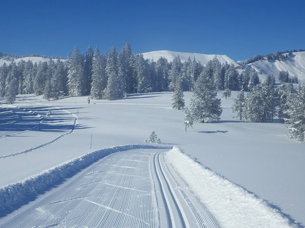 habkern-lombachalp-winter-langlauf-alplandschaft