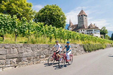 spiez-e-bike-vermietung-schloss-spiez-sommer-tour