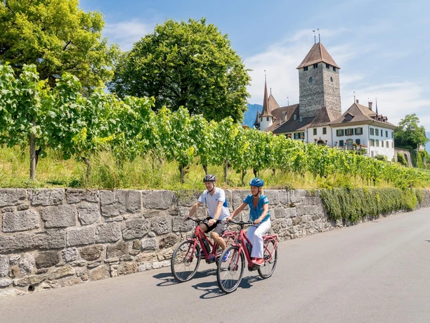 spiez-e-bike-vermietung-schloss-spiez-sommer-tour