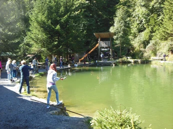 sigriswil-grabenmuehle-fischen-sommer-see