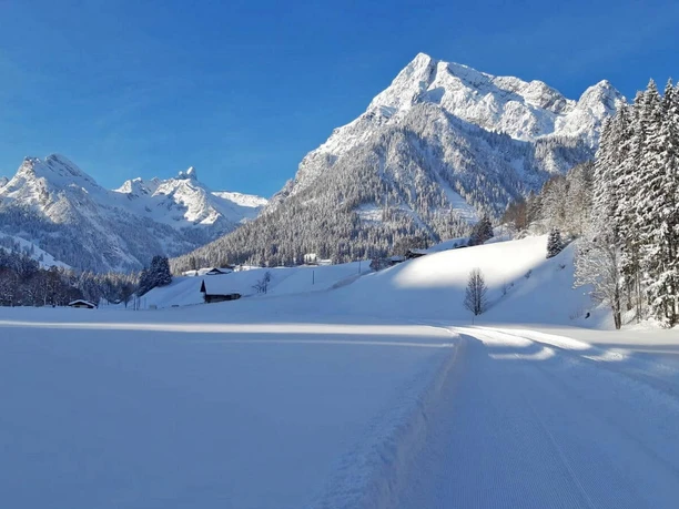naturpark-diemtigtal-langlaufen-mit-atemberaubender-aussicht