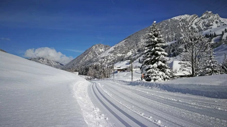 naturpark-diemtigtal-winter-langlauf-loipe-grimmialp