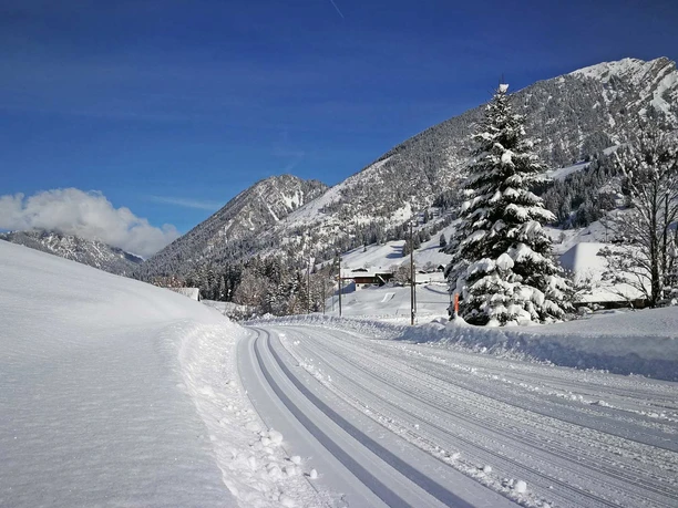 naturpark-diemtigtal-winter-langlauf-loipe-grimmialp
