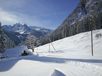 naturpark-diemtigtal-winter-langlauf-loipe-grimmimutz-blick-spillgerte