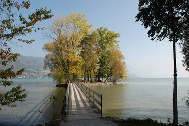 thun-grunder-inseli-sommer-baum