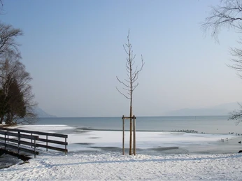 thun-grunder-inseli-winter-thunersee