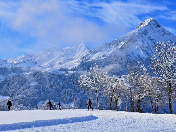aeschi-langlauf-loipe-winter-panorama