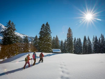 habkern-lombachalp-winter-schneeschuhlaufen-wald-huettli-soft-adventure