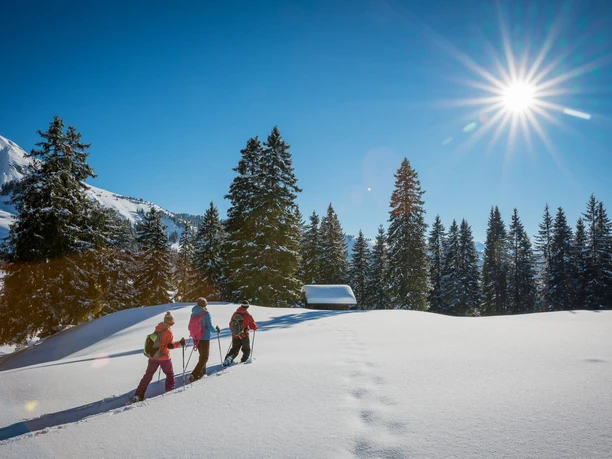 habkern-lombachalp-winter-schneeschuhlaufen-wald-huettli-soft-adventure