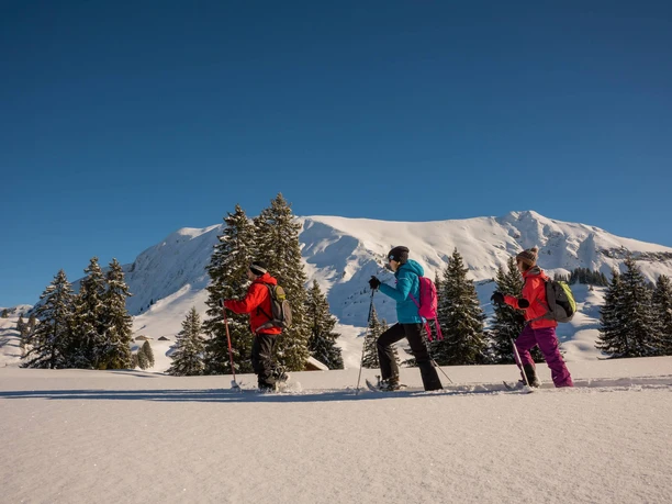 habkern-lombachalp-winter-schneeschuhlaufen-gruppe-tannen-landschaft-gefuehrte-touren-alplandschaften