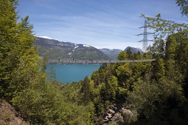 leissigen-fruehling-haengebruecke-thunersee