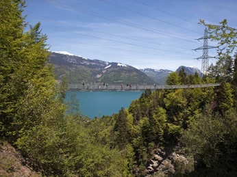 leissigen-fruehling-haengebruecke-thunersee