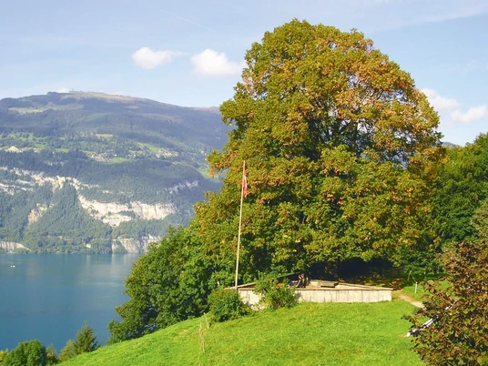 leissigen-finel-hodler-gedenkstaette-sommer-thunersee