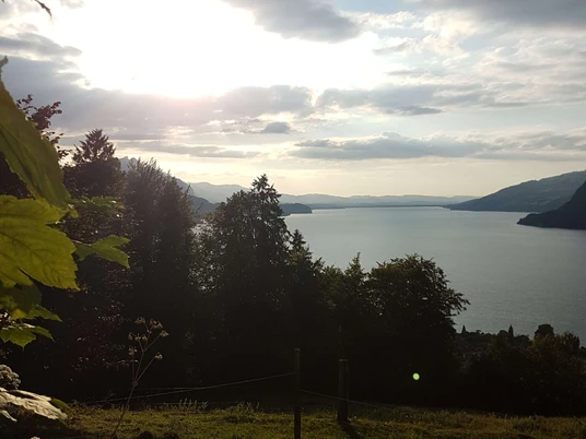 leissigen-finel-hodler-gedenkstaette-sommer-wald-thunersee