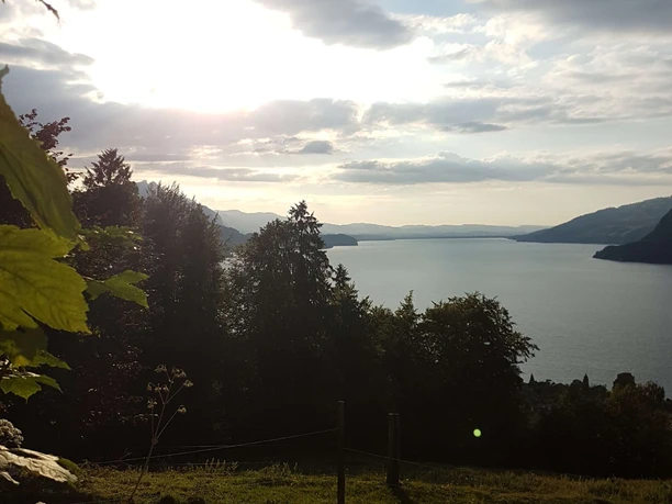 leissigen-finel-hodler-gedenkstaette-sommer-wald-thunersee