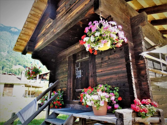 ringgenberg-dorfmuseum-schlossweid-fruehling