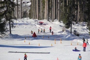 beatenberg-skischule-parcours-winter-skifahren