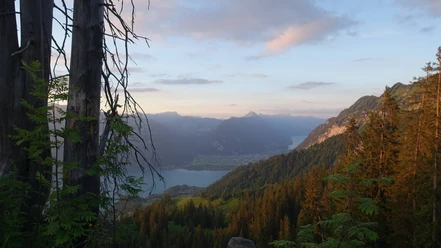 aeschi-alp-brunni-sommer-abenstimmung-thunersee