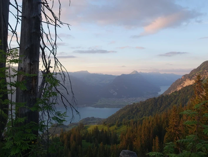 aeschi-alp-brunni-sommer-abenstimmung-thunersee