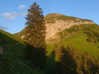 aeschi-alp-brunni-sommer-sonnenschein