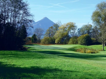 unterseen-golfplatz-sommer-baeume