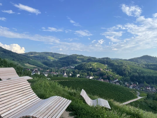 Himmelsliege am Köpfl