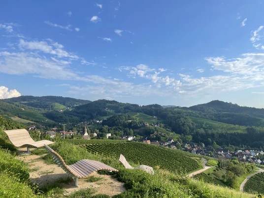 Himmelsliege am Köpfl