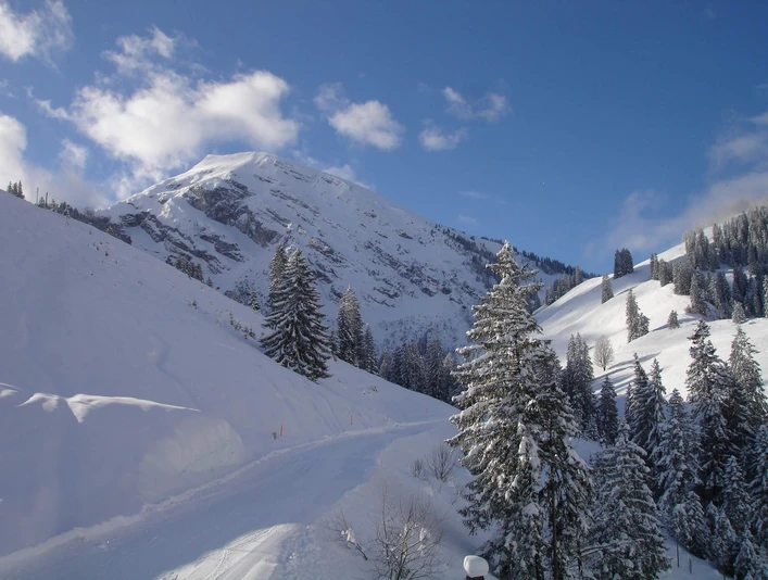wiriehorn-natur-schlittenpiste-winter-schlitteln