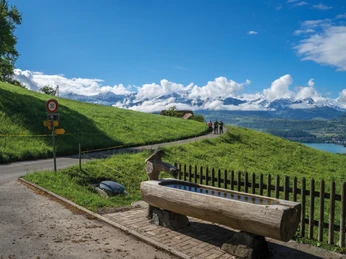 aeschlen-grillplatz-ruetacher-aeschlen-brunnen