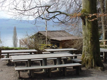 merligen-picknickplatz-opeten-aussenplaetze-fruehling