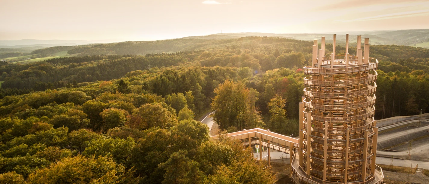 Ein Aussichtsturm aus Holz steht inmitten eines Waldgebietes unter einem goldenen Himmel in Waldbröl.