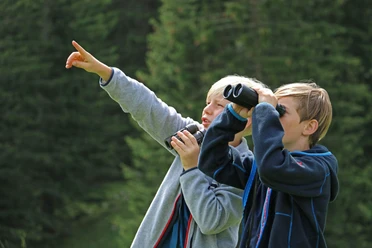 diemtigtal-umweltbildung-alpentier-sommer-beobachten