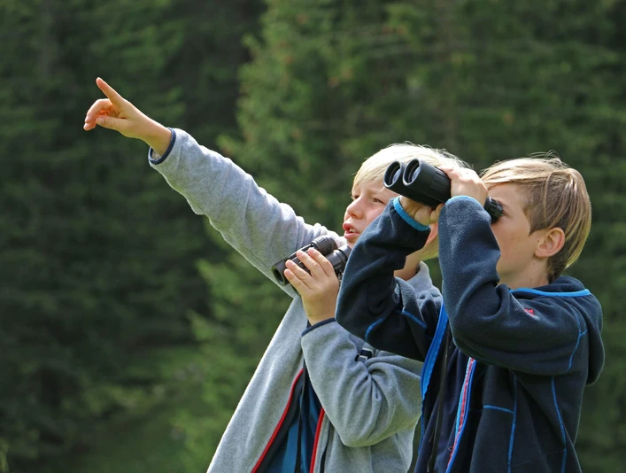diemtigtal-umweltbildung-alpentier-sommer-beobachten