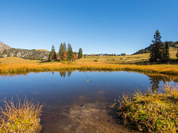diemtigtal-umweltbildung-herbst-see