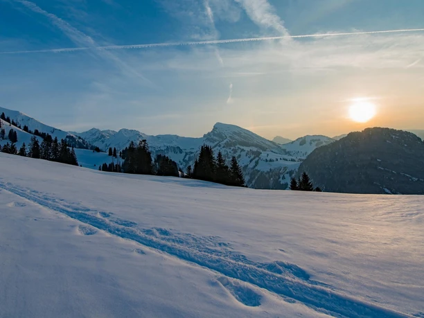 diemtigtal-schneeschuhtouren-kammer-ueli-winter-sonnenschein
