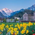 photo-tours-interlaken-sommer-blumen-hoehematte