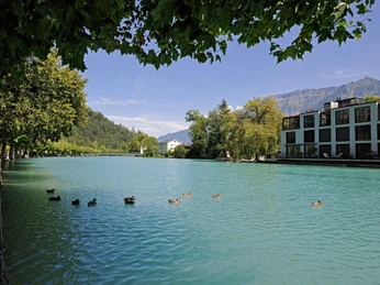 unterseen-altstadt-aare-enten-schwimmen-sommer