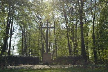 Kriegerehrenmal Werlte Steinernes Ehrenmal mit großem Kreuz im Wald, umgeben von Licht und dichtem grünen Blätterdach.