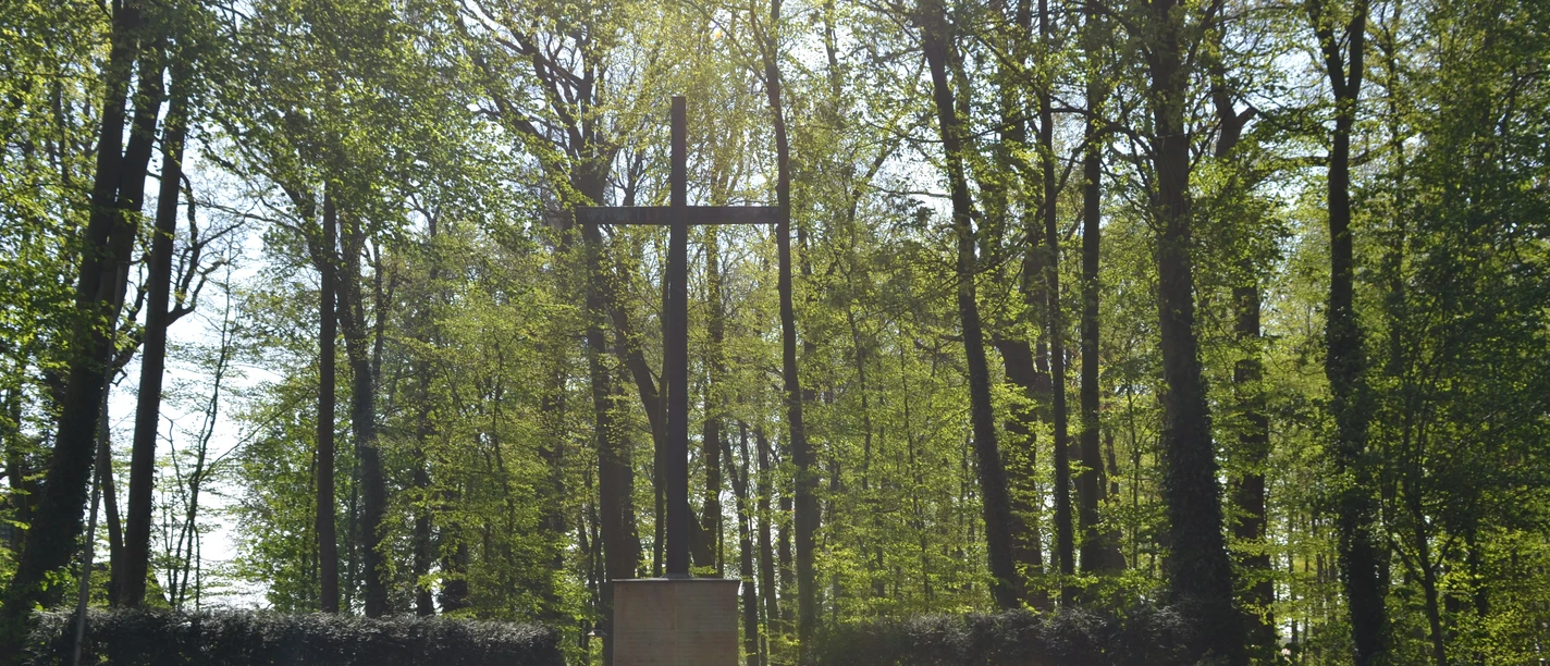 Kriegerehrenmal Werlte Steinernes Ehrenmal mit großem Kreuz im Wald, umgeben von Licht und dichtem grünen Blätterdach.