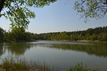 Fischteiche Loruper Straße Ruhiger See mit grünen Uferbäumen, Schilf im Vordergrund und einer Person in einem Boot auf dem Wasser.