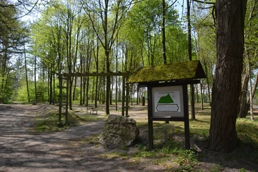 Hermann-Droste-Park Waldweg mit Infotafel und Stein im Hermann-Droste-Park, umgeben von hohen, grün belaubten Bäumen