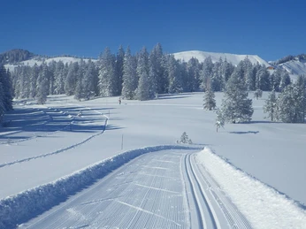 habkern-lombachalp-winter-langlauf-alplandschaft