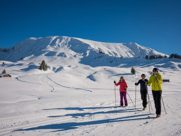 lombachalp-langlauf-berge-winter-wintersport