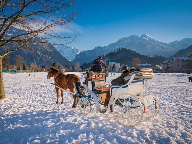 interlaken-kutschenfahrt-dorfrundfahrt-winter
