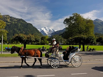 interlaken-kutschenfahrt-sommer-hoeheweg