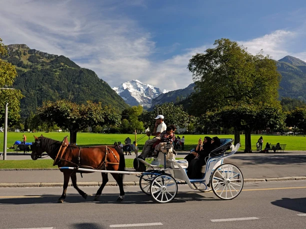 interlaken-kutschenfahrt-sommer-hoeheweg