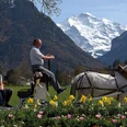 interlaken-reitschule-voegeli-pferde-kutsche-blumen