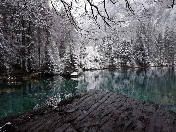 interlaken-privatetour-pure-switzerland-winter-see