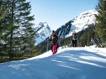 schneeschuh-outdoor-active-schnee-natur-winter-gruppe